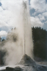 Lady Know Geyser