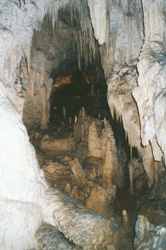 Waitomo Caves