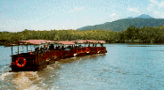 Daintree River Train