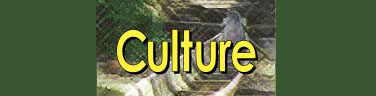 Culture Header