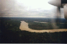 Mulu Forest from the Miri-Mulu Flight