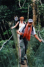 Negotiating The Treetop Walkway