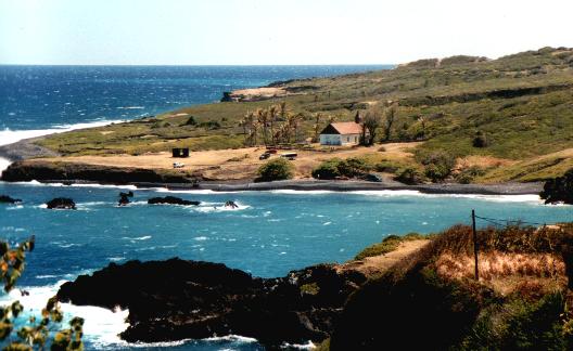 huialoha church