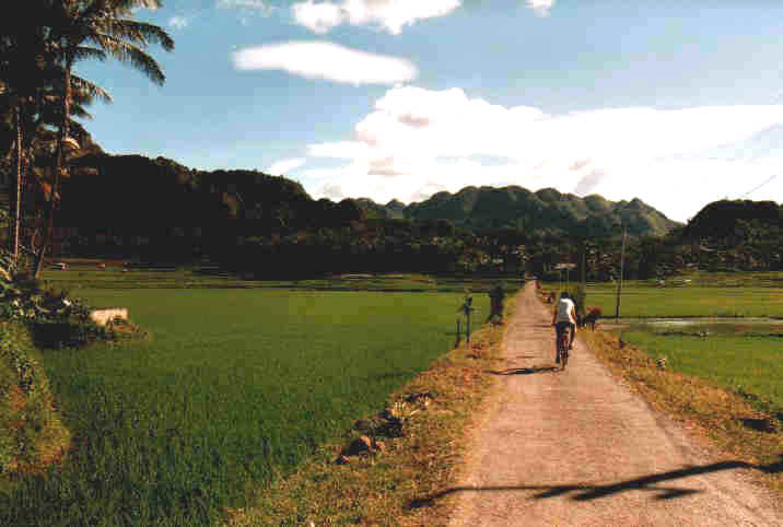 toraja