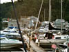 Bluffer's park marina