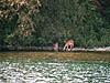 Maman et son bb, Kerr Bay