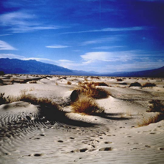 Death Valley #1