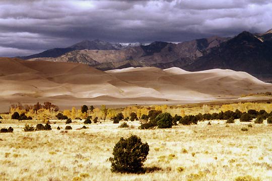 Great Sand Dunes #1