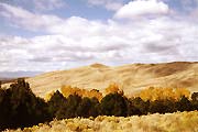 Great Sand Dunes #3