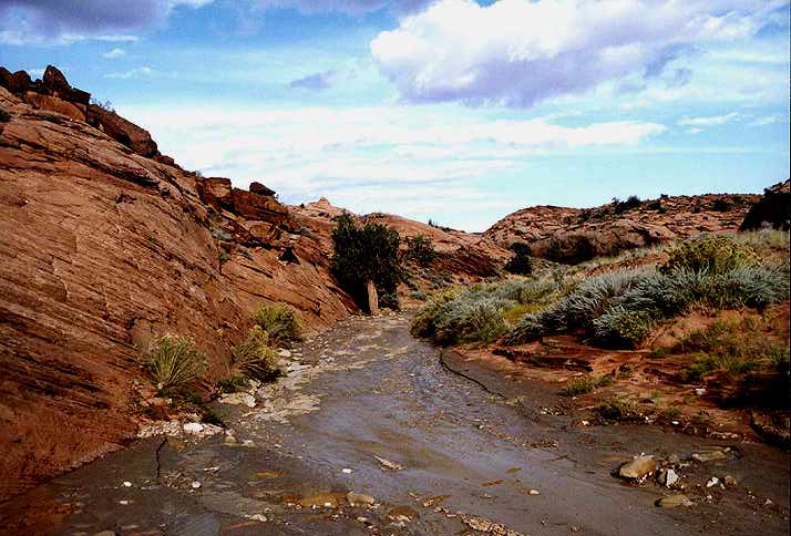 Slot Canyon Creek, in Staircase Escalante National Monument - Utah