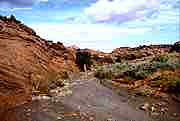 Slot Canyon Creek