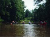 The group canoeing