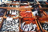 fishmarket.jpg