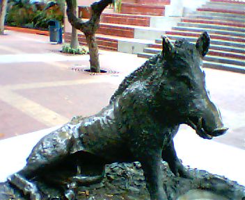 A Bronze Boar in Malecon, Ecuador