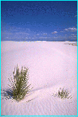 White Sands National Park