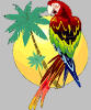 small graphic of a tropical parrot against a yellow circle