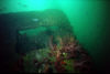 Wheelhouse on cement Wreck