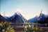 Flax, Milford Sound