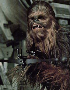 chewie2.jpg (42342 bytes)