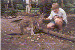 Ingrid touches her first kangaroo