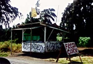 Island treats sold from Kahuku roadside stands