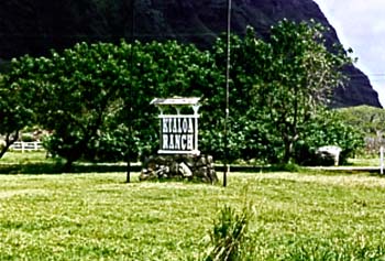 Kualoa Ranch with it's multitude of activities