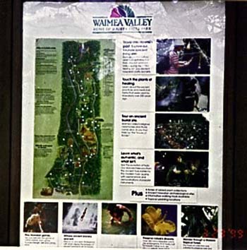 Many activities to do at Waimea Adventure Park