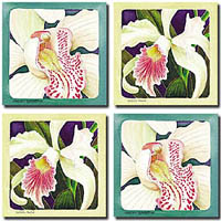 Flukes Coasters - Orchids