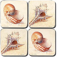 Flukes Coasters - Sea Shells