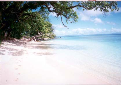 Plage  l'eau translucide