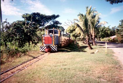 Train transportant la canne  sucre