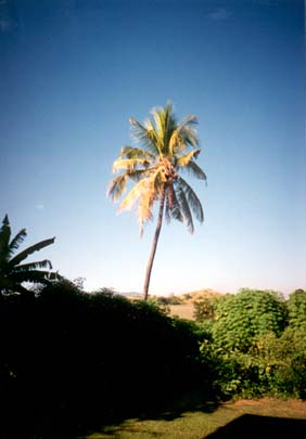 Vue de ma chambre