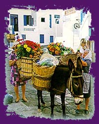 Donkey on the beautiful streets of Mykonos town