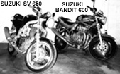 2suzuki.jpg (16525 byte)