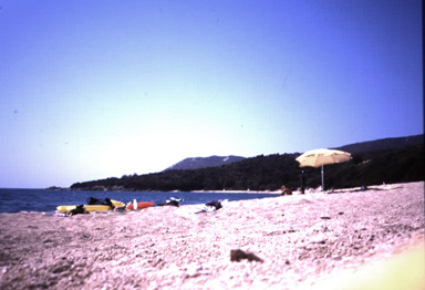 spiaggiacorsa.jpg (41688 byte)