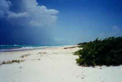 tulum2.jpg (8462 byte)