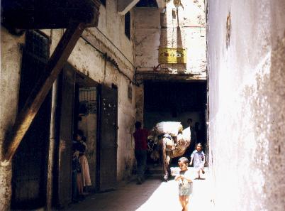 medina4