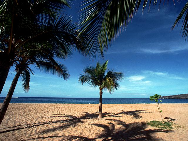 Relax on the Shore