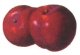 Image of Plums01.jpg