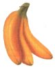 Image of banana01.jpg