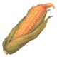 Image of corn01.jpg