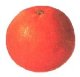 Image of orange01.jpg