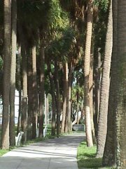 Image of park_path01.jpg