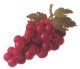 Image of rd_grapes01.jpg