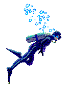 diver1.gif (3096 Byte)