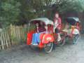 Pedal Taxi in Asia