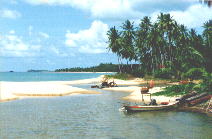 river ,MaeNam .Koh Samui