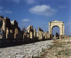 This Way to the Necropolis