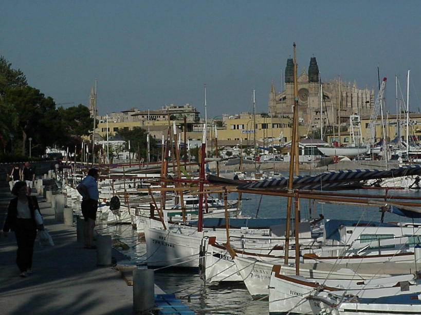 Discover Palma de Malllorca