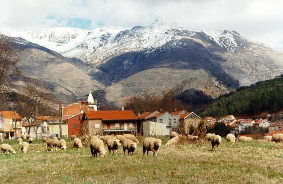 o terroeiro en hiver